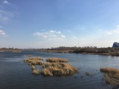 -哈尔滨大剧院