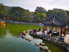 -莲湖公园