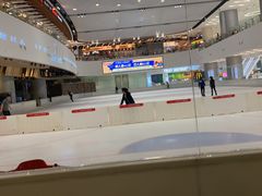 -TheRink大零溜冰场(IFS国金中心店)