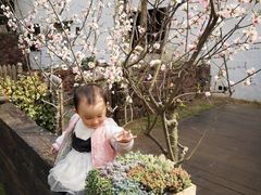 -悦哉·派对·草坪婚礼·围炉煮茶(三圣乡店)