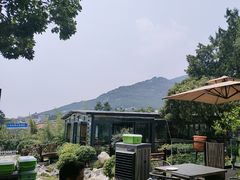 -蘇河湾·新鲁菜·泰山宴(泰山店)