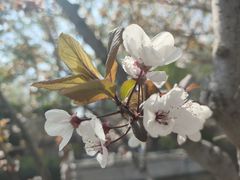 -元大都城垣遗址公园