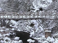 -龙苍沟森林公园
