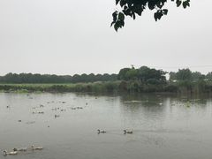 -上膳源有机农场