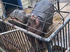 -昆明动物园