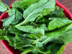 -攀枝花·任德琼·盐边羊肉米线