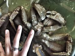 -蟹之国·精品蟹料理(极地店)