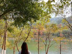 -凤岗南门山森林公园