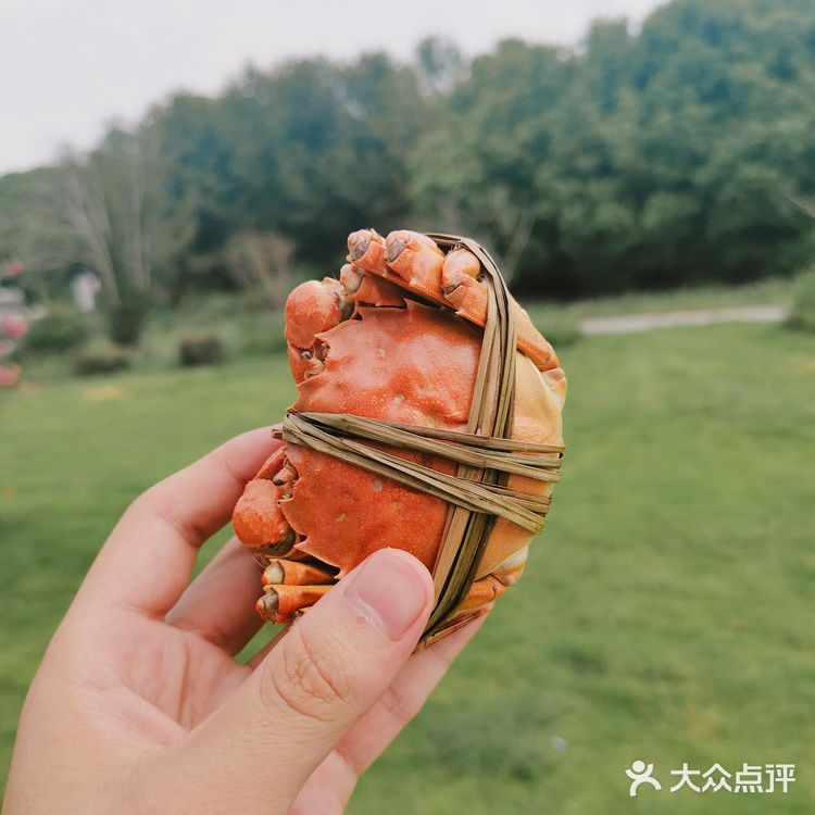 初秋去阳澄湖边的晚芳亭品蟹🦀️赏湖景