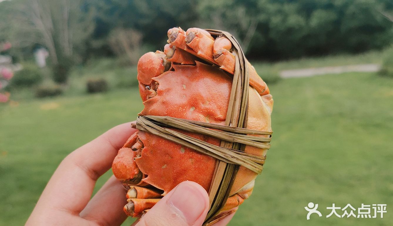 初秋去阳澄湖边的晚芳亭品蟹🦀️赏湖景