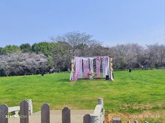 -凤凰沟景区