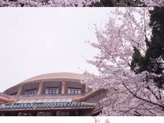 -武汉大学-樱园