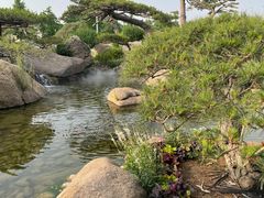 -罗红摄影艺术馆