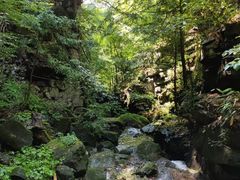 -藏龙百瀑风景区