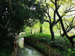 -西湖外事游船(花港观鱼码头)