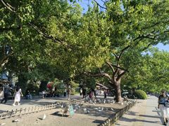 -西湖外事游船(湖滨二公园外事游船码头)