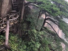 -黄山轩辕国际大酒店