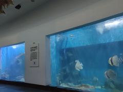 -上海长江河口科技馆
