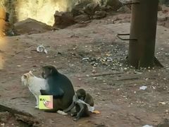 -昆明动物园