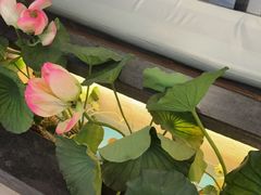 -客家班·客家菜(嘉禾金铂店)