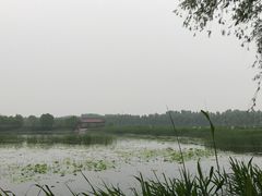 -白洋淀景区