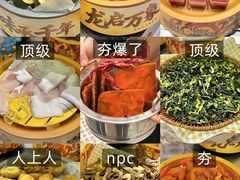 -龍歌自助小火锅(市南金茂湾店)