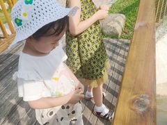 -合肥滨湖国家森林公园