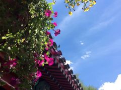 -百好乐宠物友好餐厅(朝外大街店)