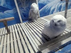 -成都浩海立方海洋公园