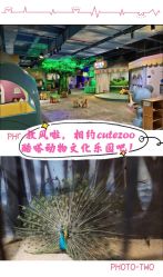 -酷嗒动物文化乐园(cutezoo西溪乐天城店)