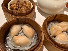 -食为先(Shark Fin)
