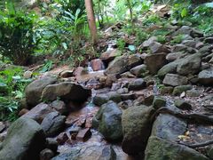 -火炉山森林公园