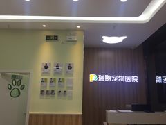 -瑞鹏宠物医院·内科·中兽医·骨科(苗圃店)
