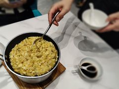 -丁老爷子苏香圆