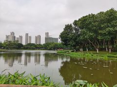 -映月湖公园