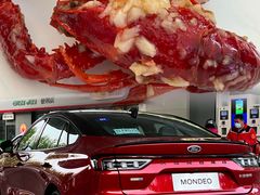 -北京亚奥福瑞福特4S店(北苑家园店)
