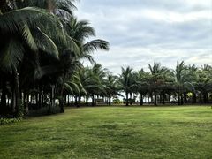 -三亚海棠湾喜来登度假酒店