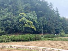 -韶山毛泽东同志故居