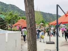 -吉姆冒险世界(蓟州店)