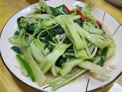 -四友农庄