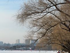 -长春市南湖公园