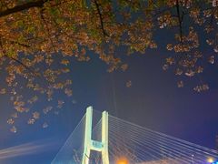 -上海南浦大桥长途旅游客运站