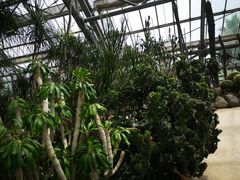 -南山植物园
