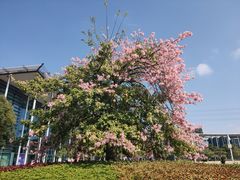 -中国移动南方基地