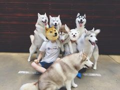 -TrueLove @ Neverland (Husky Cafe)