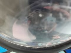 -佳怡动物医院·平价24小时·猫专科骨外科