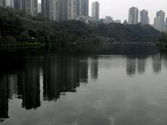 -重庆彩云湖湿地公园