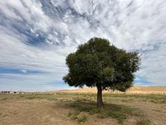 -亿利库布其七星湖沙漠生态旅游区