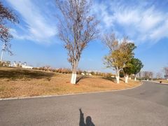 -盘龙城国家考古遗址公园