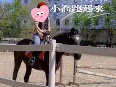 -大连凯洋马术俱乐部有限公司